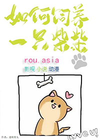 如何饲养一只龙猫